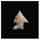 Fig. 3: Haskell projectile point, 23CN455, 2000